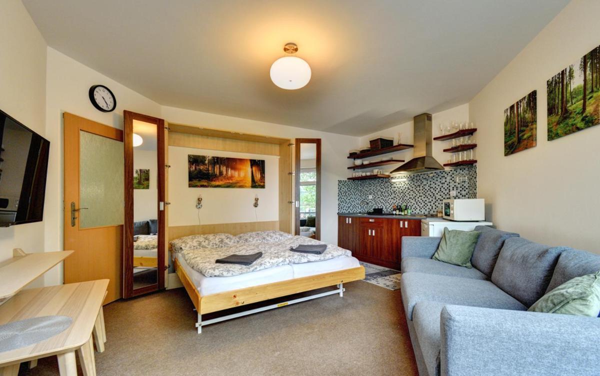 Apartmán Modrá hvězda Rokytnice nad Jizerou Exteriér fotografie